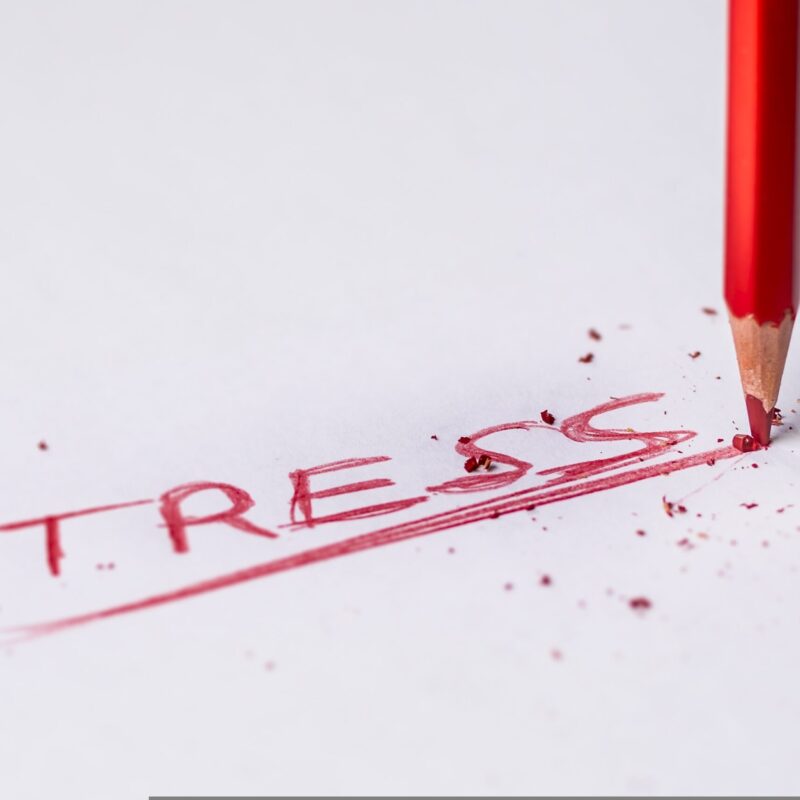Stress Management Masterclass